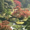 Tokyo_Rikugien_Park_18